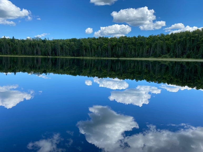 Sponsorships Bras Coupe Club